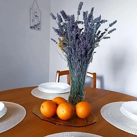 Istrian House Mojca *